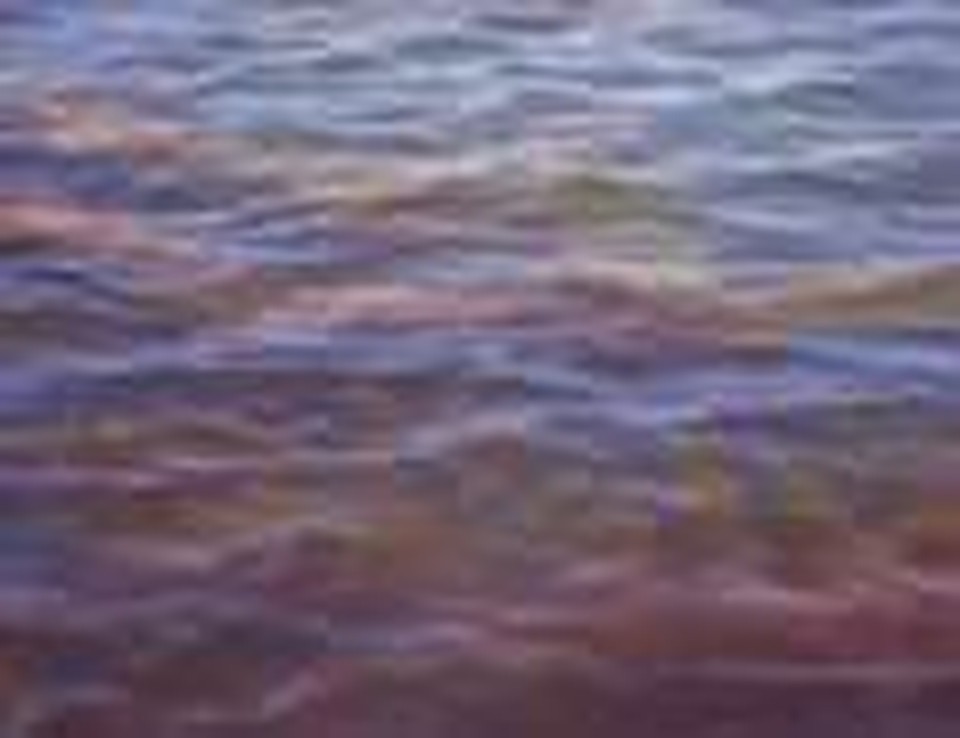 Jonah Series Preached by Nick Holden (Part 3)