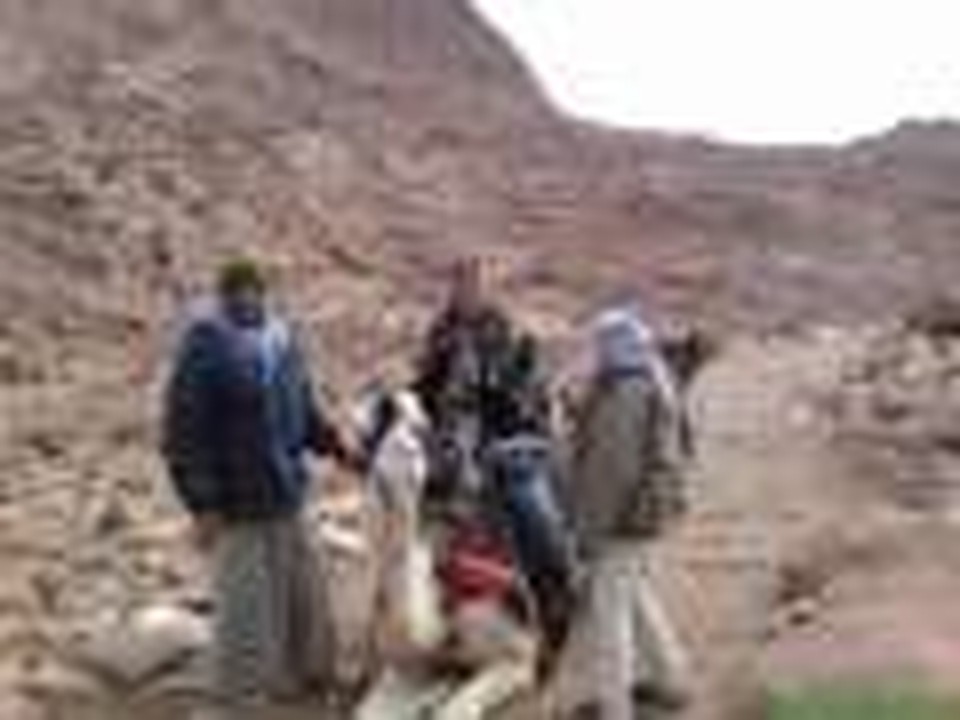 Climbing Mount Sinai for CHRISTMAS!