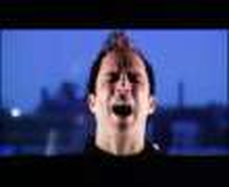 Skillet - Rebirthing