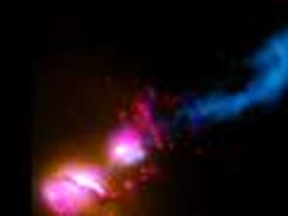 BEAUTY OF CREATION