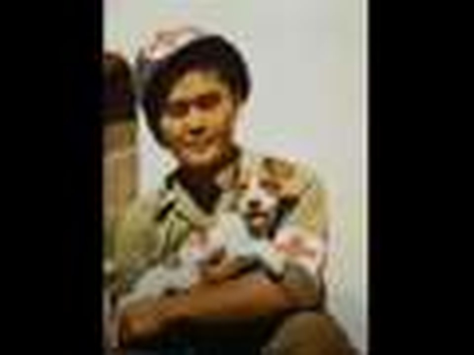 What Ive done- Tribute To Pearl Harbour