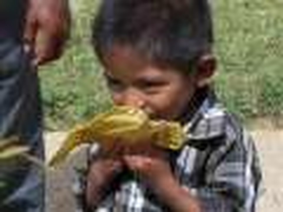 The Prayer for Honduras Children