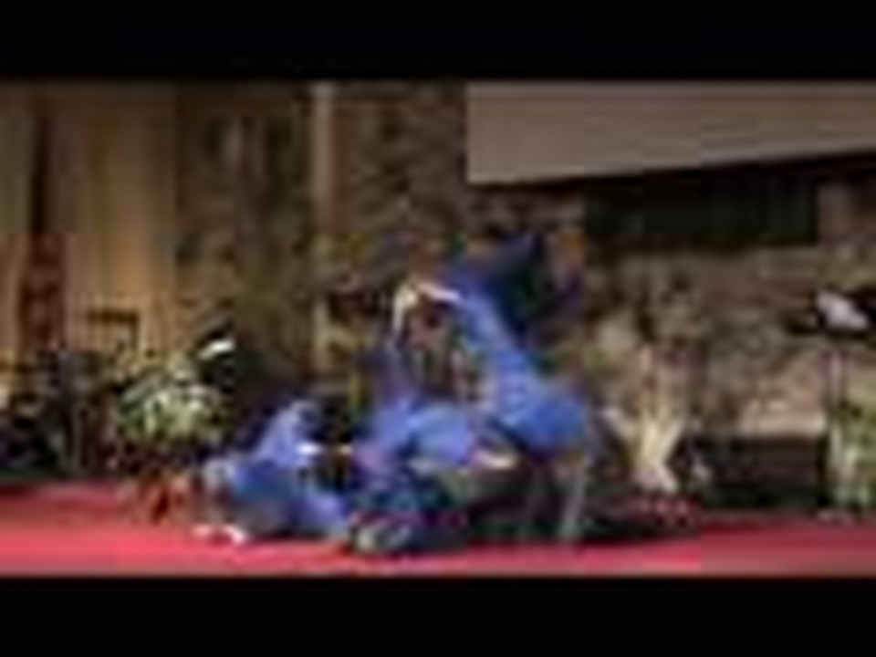 Revelation Human Video