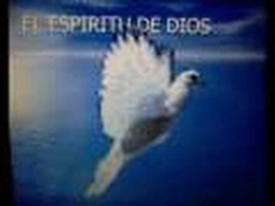 testimonio