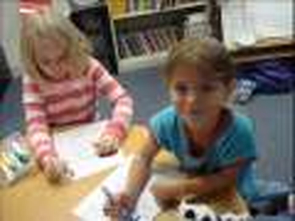 Star Charter lower school 2007-2008