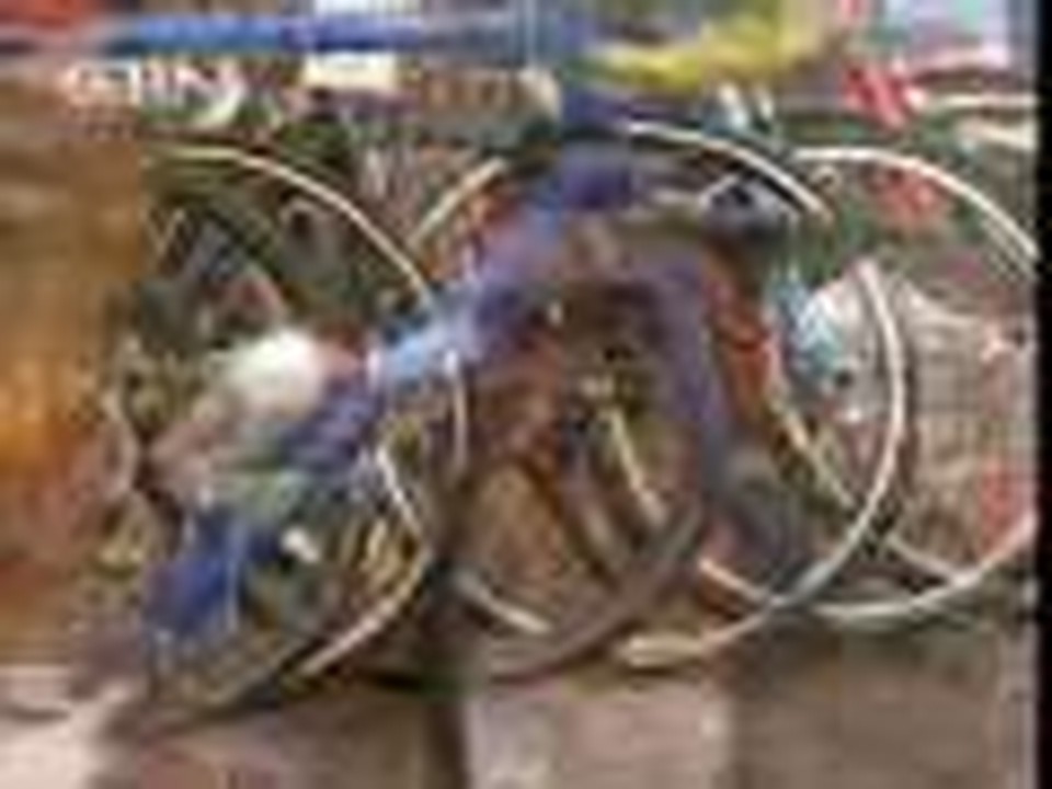 Save Money, Bike to Work - CBN.com
