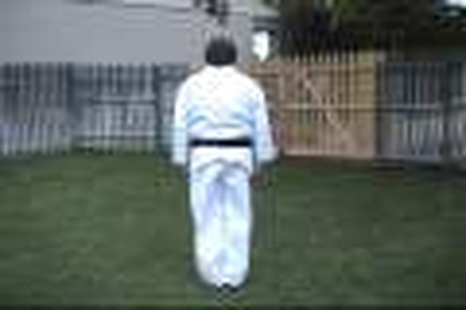 Naihanchi Shodan (From Rear)