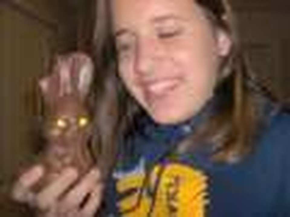 My Bunny and Me