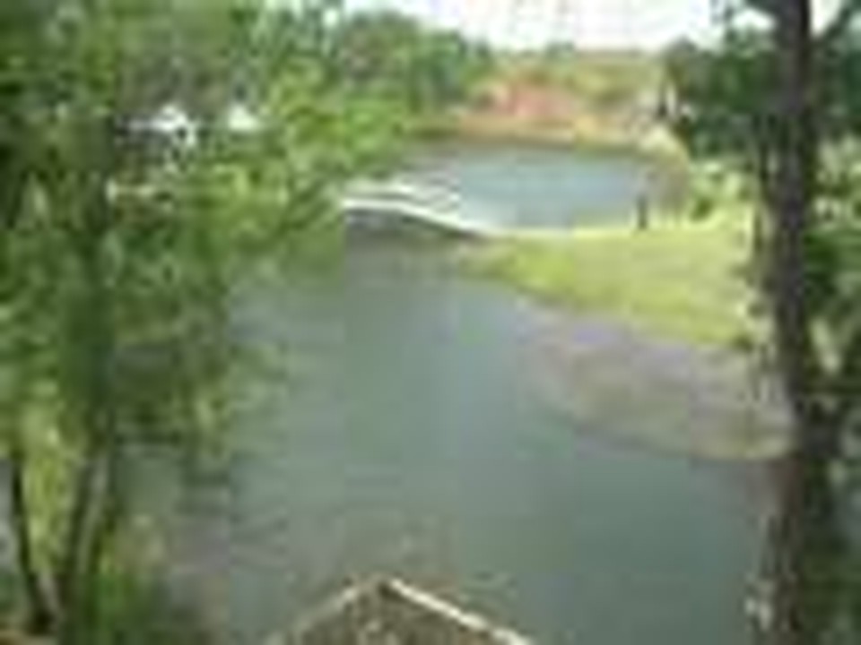 View from Panfork Cabin