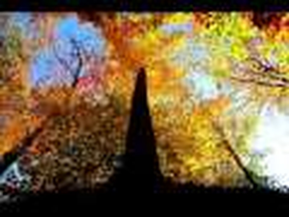 Steve Wallace & Cindy Walton - 'God of Grace'