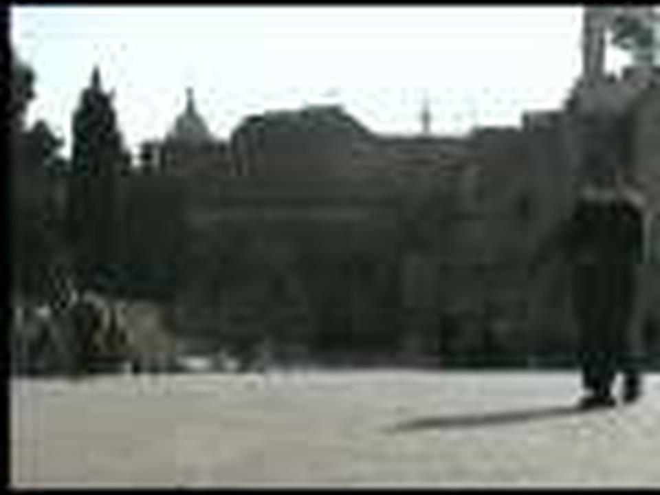 Focus on Israel and the Palestinian territories