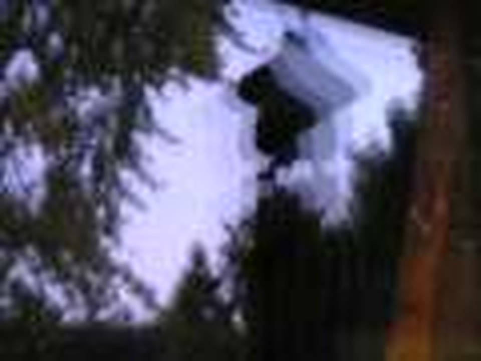 your window