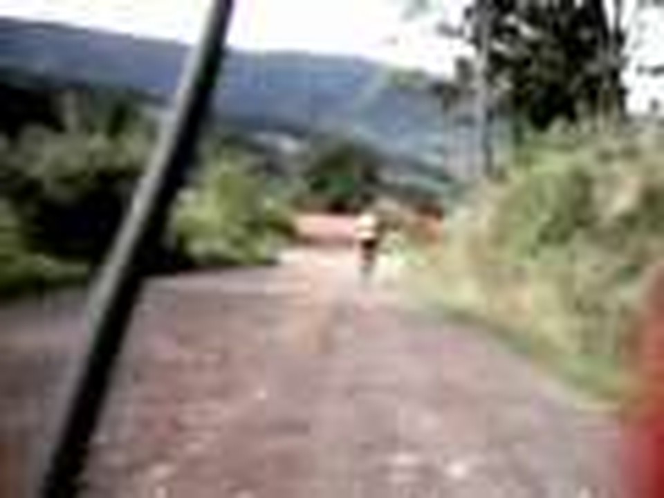 Quepos 2A