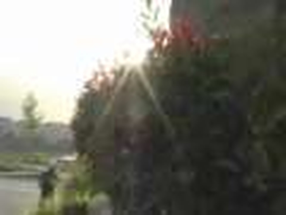 GAT TV - Music video "Everythings Magic" by Angels and Airwa
