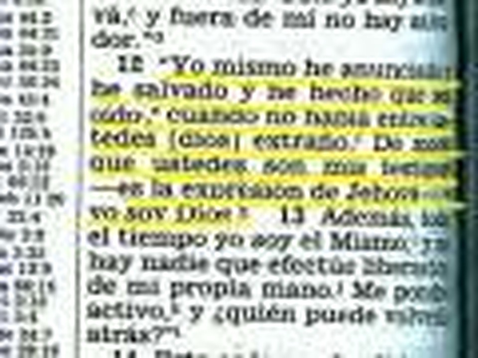 Testigos de Jehova (Usted no puede ser un Testigo de Jehova)