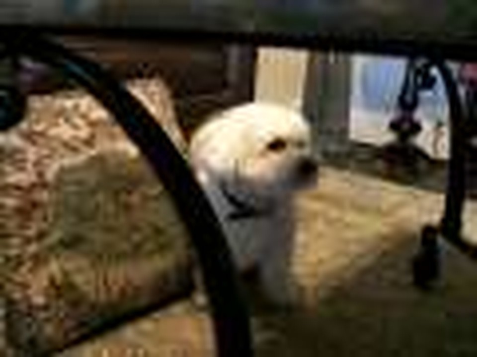 Ssomie begs for Peanut Butter