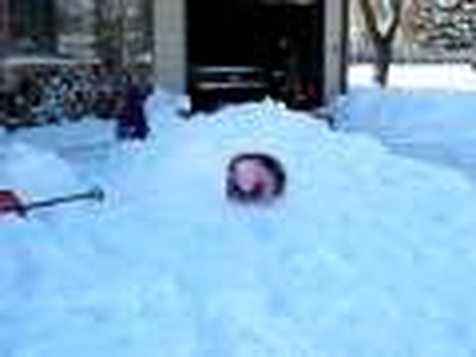 Playin' in the Snow