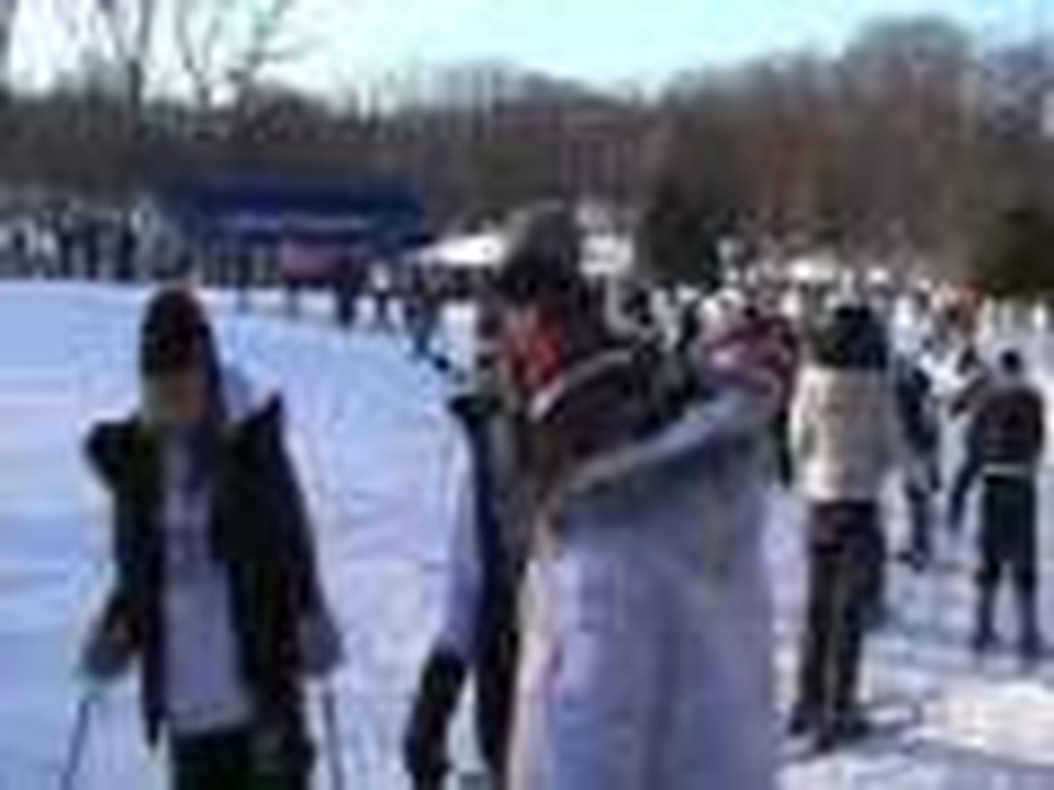 Snowball 2009