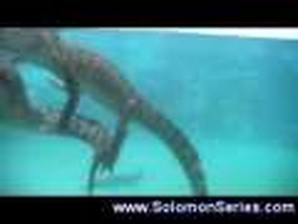 People and Crocodiles of Australia's New Territory