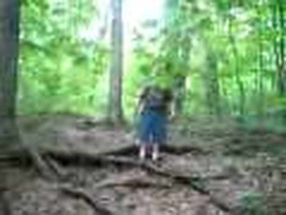 MDK Camping 2008 at Turkey Run - Prophets Rock