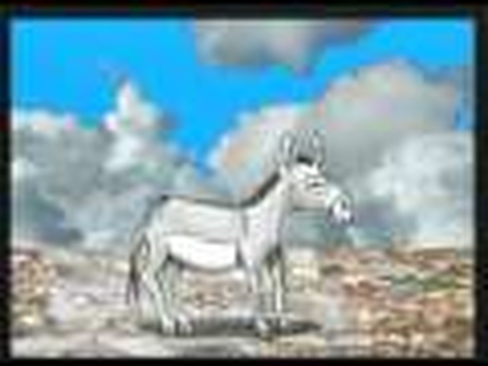 The Donkey