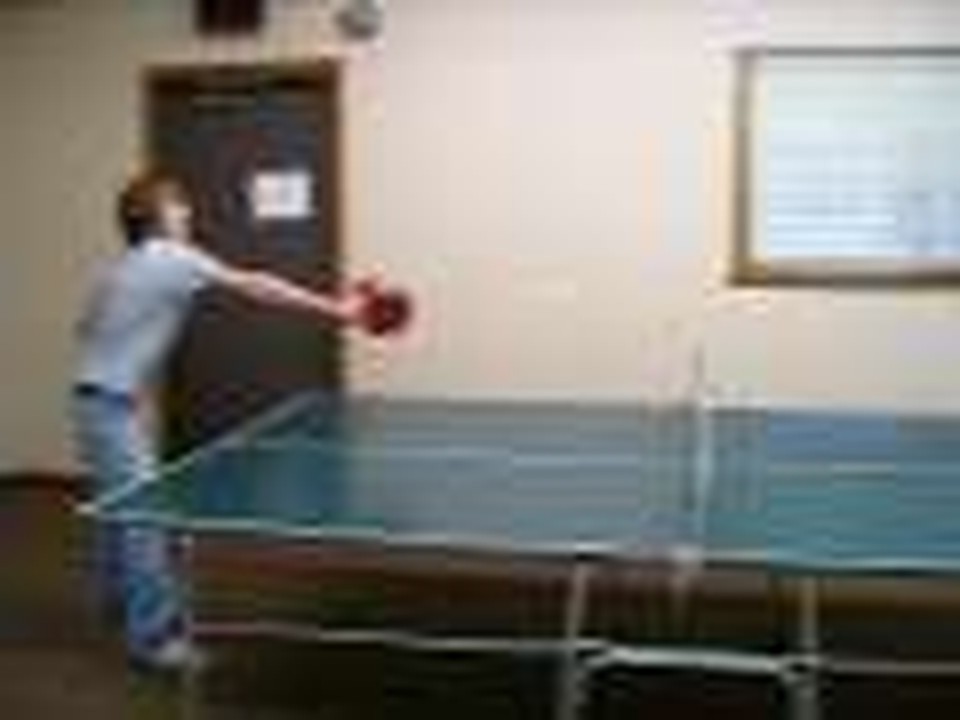Ping Pong Mania