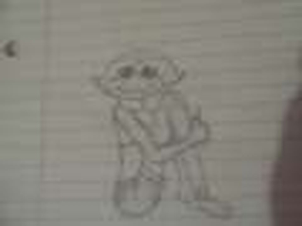 drawings I did
