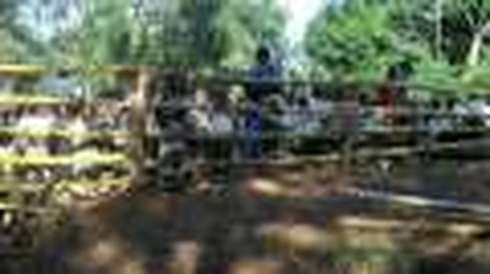Africa Missions