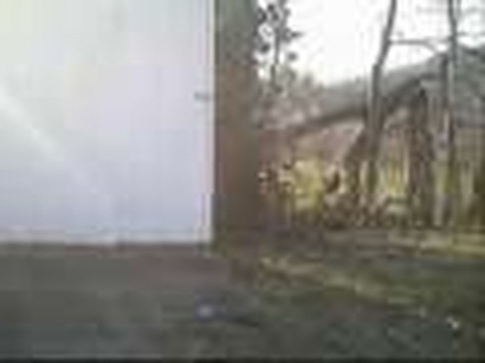 Counterstrike