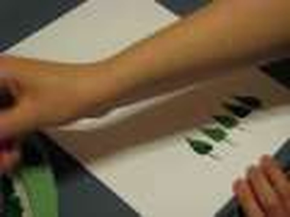 Paint Lesson