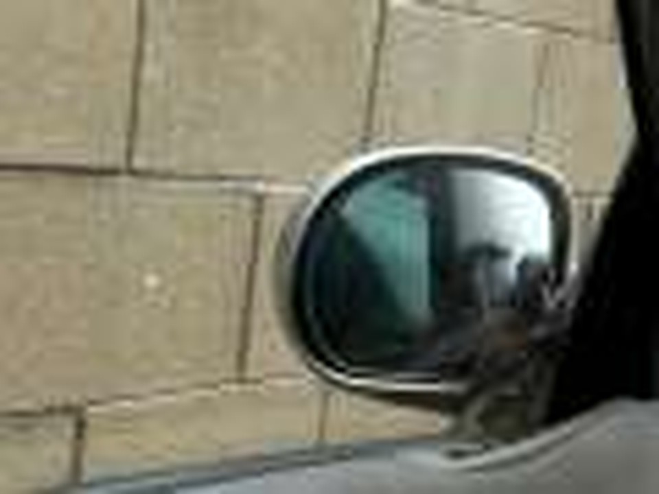 Bird in the Mirror