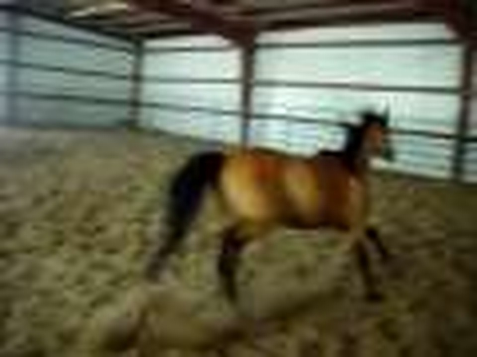 Tequila Running Around
