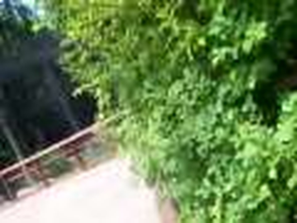 My Trip To The Zoo, Part 1 Of 2