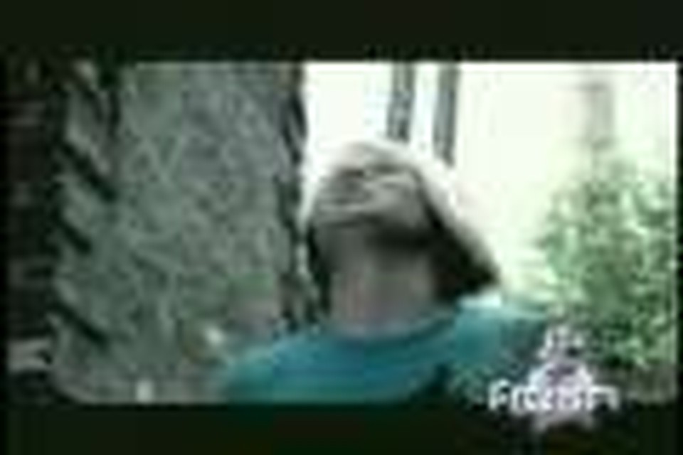 FireFlight "You Decide"