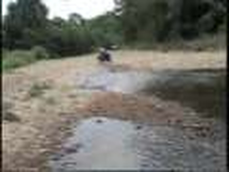 trace creek tracker pull