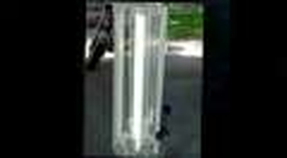 Algae to Biodiesel