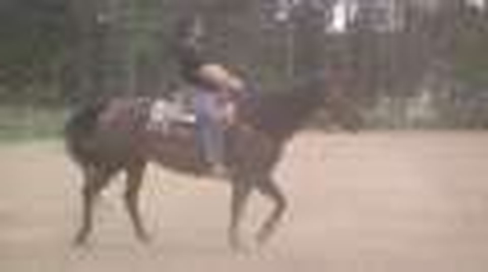 felix ride two