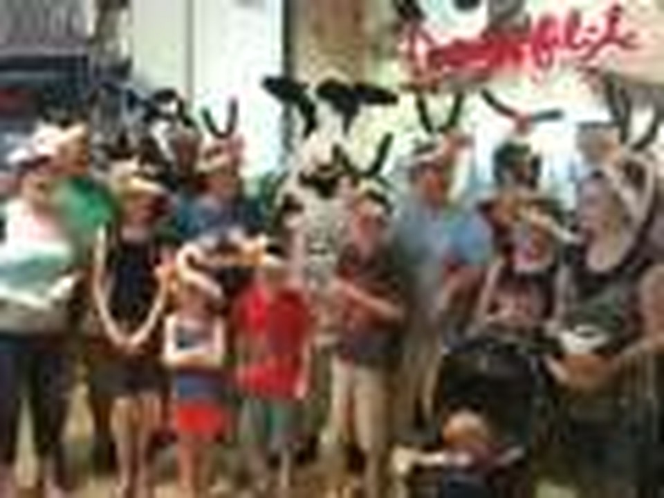 Ode to Chick-Fil-A - Cow Appreciation Day - St. Louis Clown