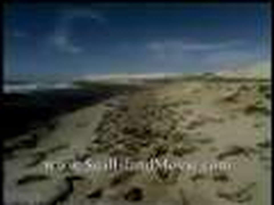 facts about sea lions