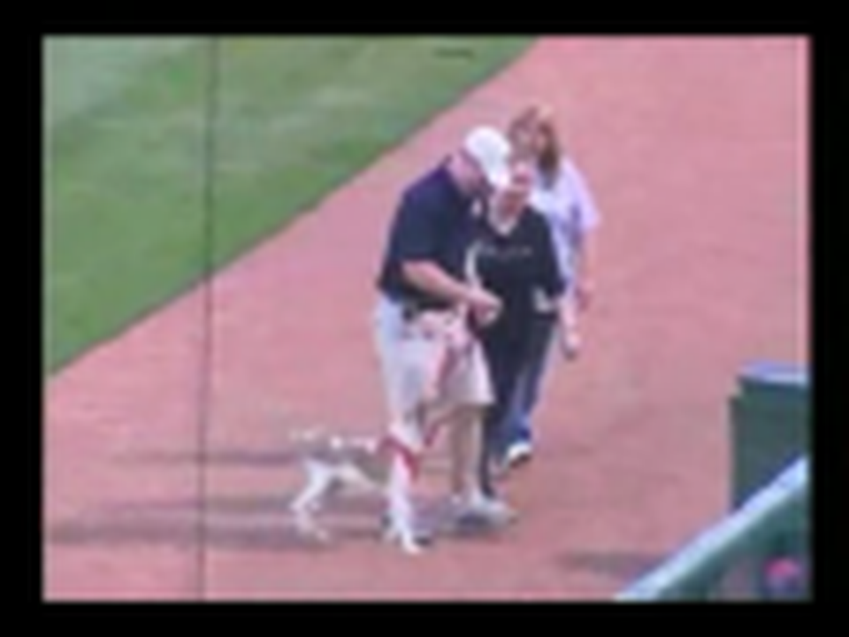 Dog Runs Loose at Minor League Game