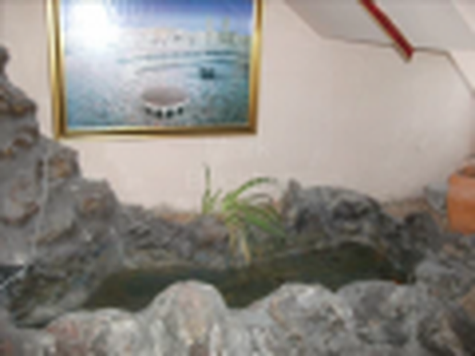 Houses For Sale Ottery! Get The Best!