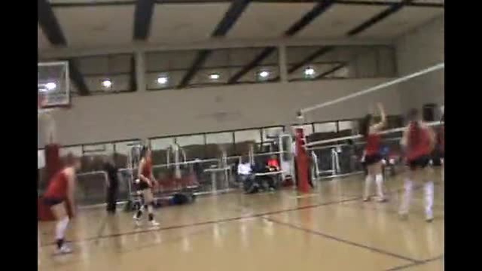 Montgomery College Volleyball Team 2010