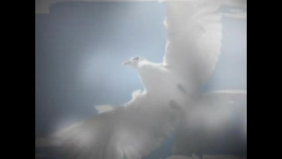 Rise all you spirits of the earth !!!