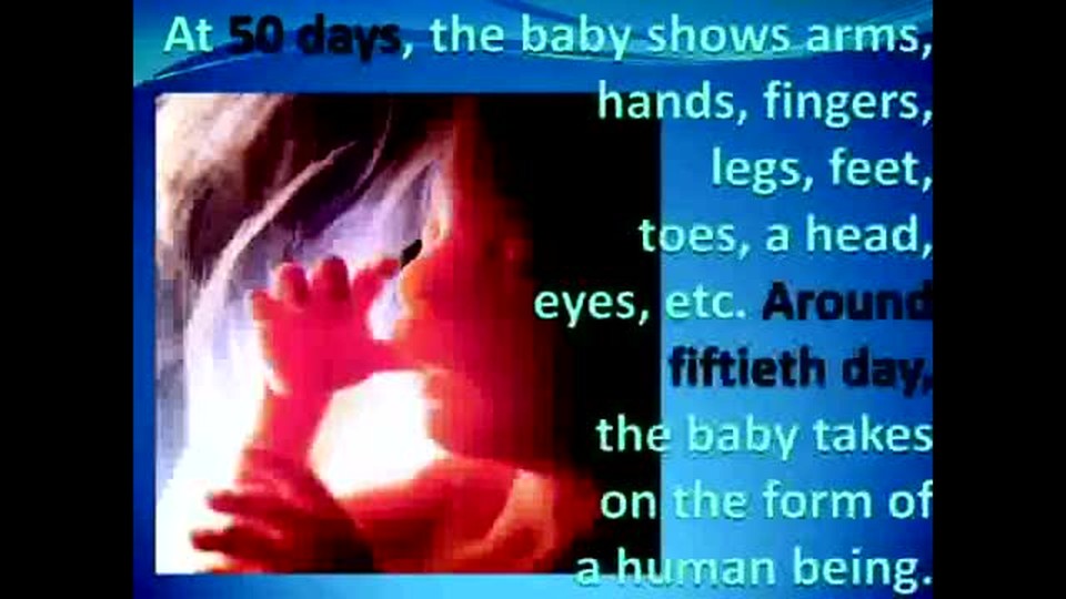 God's Holy Days and the Baby