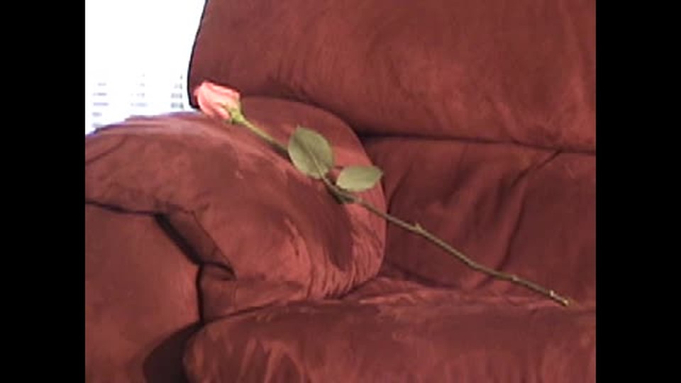 Righteous Insanity: When Flowers Worry