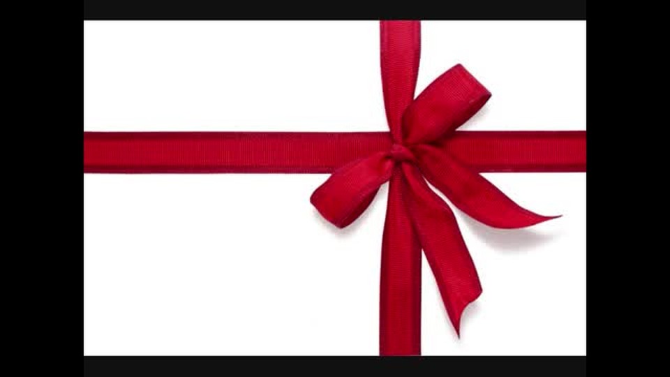 What to Give for Christmas or I don't like spiders and snakes!
