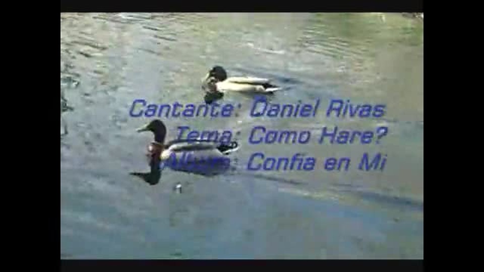COMO HARE