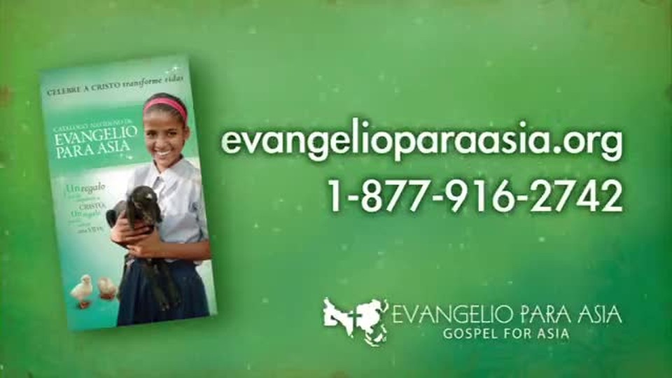 Catálogo Navideño - Promo Largo