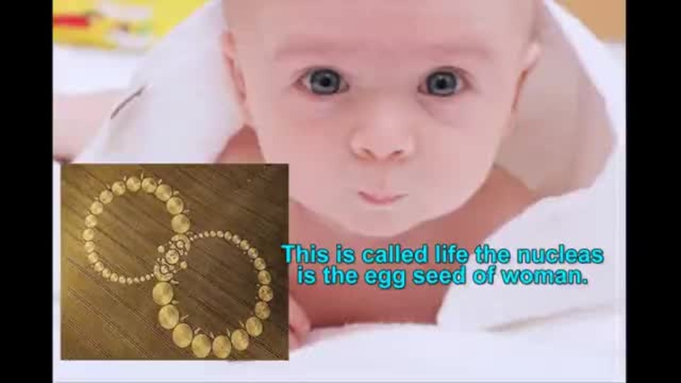 Life Begins At Conception