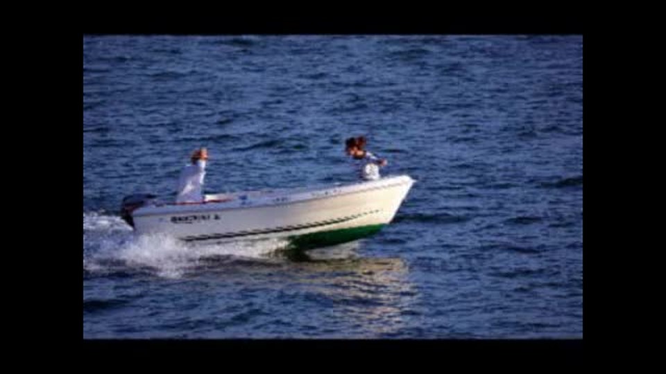 En busca de porqués